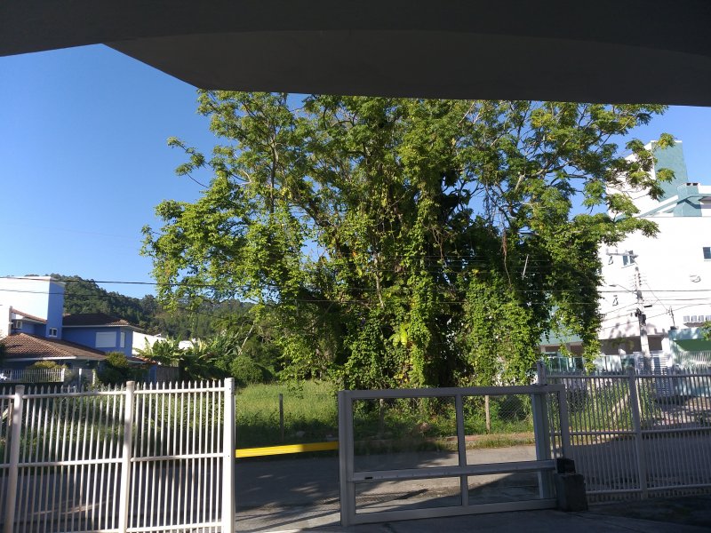 imóvel com 60m² - Canasvieiras - Florianópolis