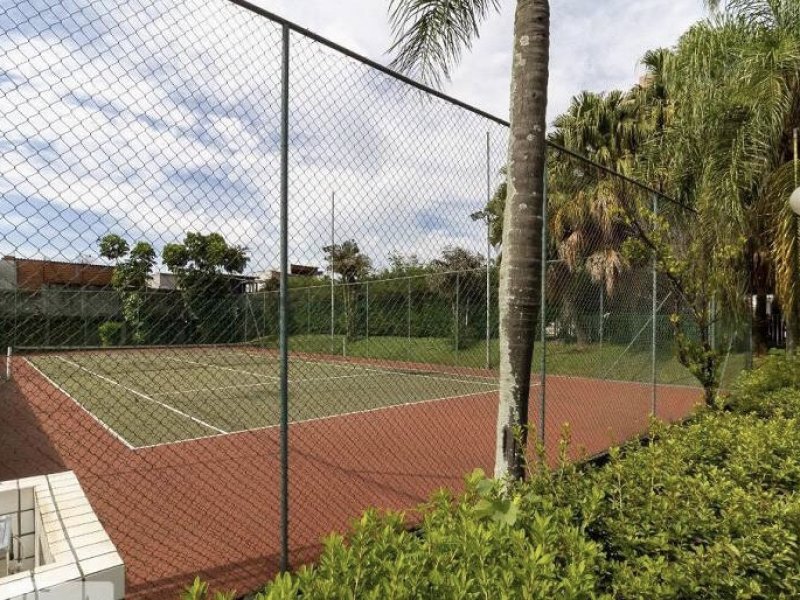 Apartamento à venda Jardim Patente com 54m² e 2 quartos por R$ 305.000 - 454318094-fdb869ec-80af-496a-b84f-c4abec7751cf.jpeg