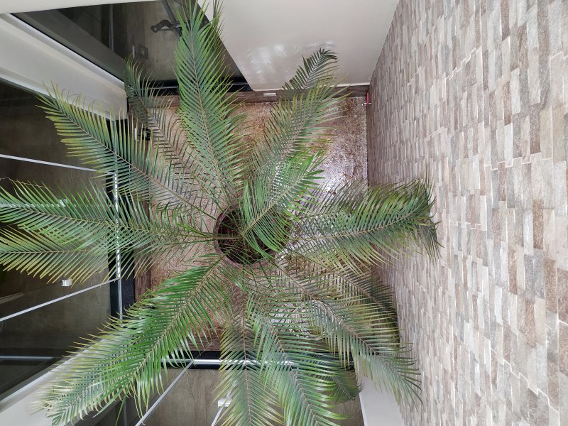 Casa à venda Vila Esperia Ou Giglio com 510m² e 4 quartos por R$ 1.300.000 - 1550842892-36-jardim-interno-de-cima.jpg