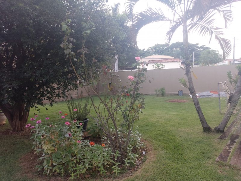 imóvel com 444m² - Vila Santa Isabel - Campinas
