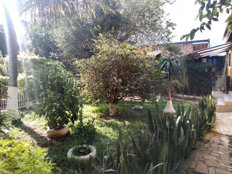 Casa à venda Jardim Esperança com 559m² e 3 quartos por R$ 1.200.000 - 1153518423-quintal-olhando-em-baixo.jpeg
