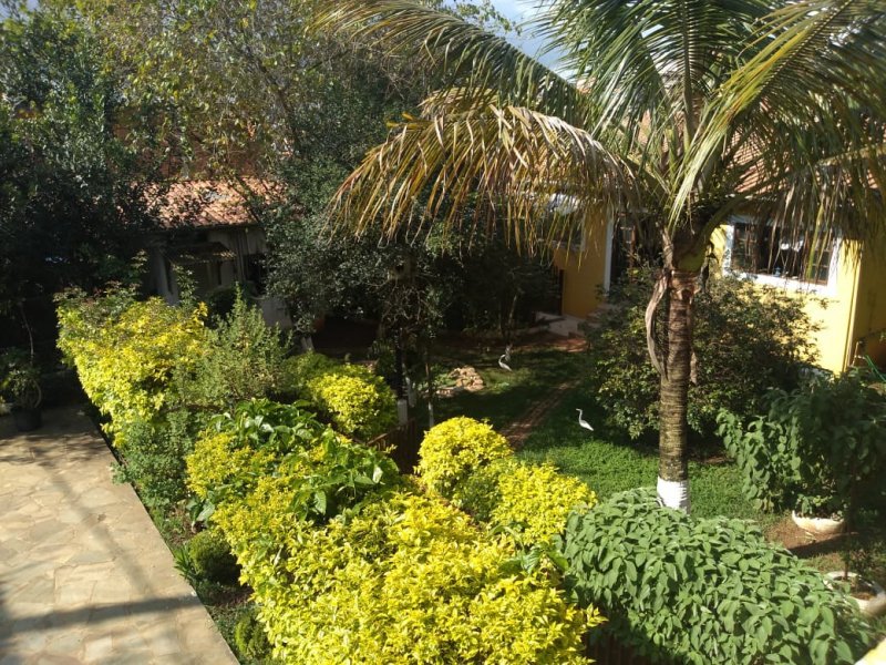 Casa à venda Jardim Esperança com 559m² e 3 quartos por R$ 1.200.000 - 858614231-quintal-olhando-para-a-varanda.jpeg