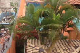 Casa à venda Vila Mazzei com 240m² - 3 dormitórios -  vagas - R$ 940.000 - 1984090930-img-3708.JPG