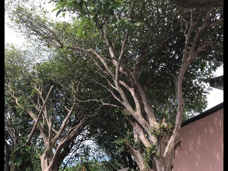 Casa à venda Morro da Glória com 160m² e 3 quartos por R$ 450.000 - 1680641286-whatsapp-image-2020-11-29-at-15.jpeg