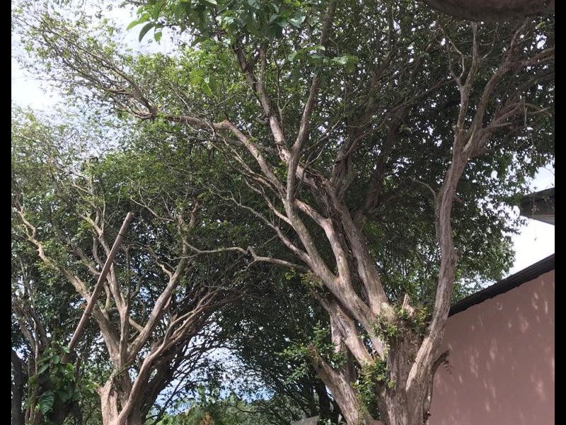 Casa à venda Morro da Glória com 160m² e 3 quartos por R$ 450.000 - 1806499379-whatsapp-image-2020-11-29-at-15.jpeg