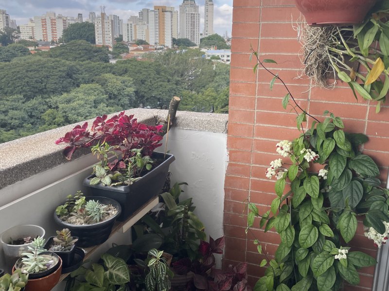 imóvel com 105m² - Vila Clementino - São Paulo
