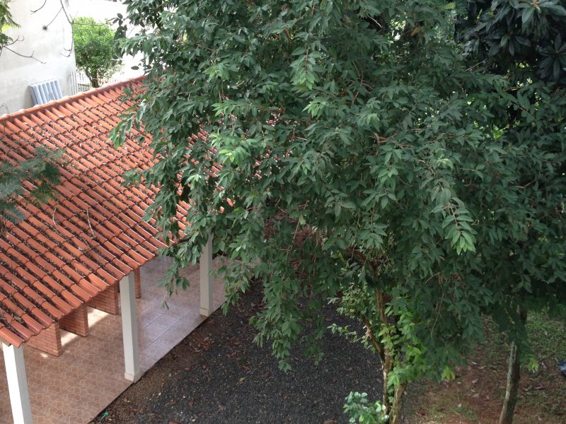 imóvel com 59m² - Santo Antônio - Porto Alegre