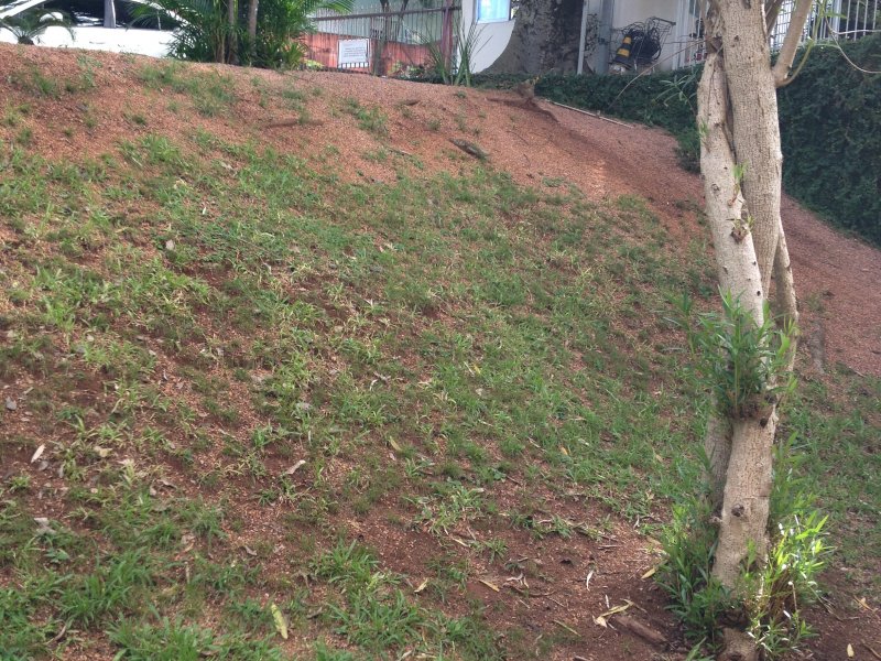 imóvel com 59m² - Santo Antônio - Porto Alegre