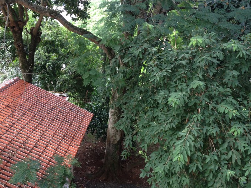 imóvel com 59m² - Santo Antônio - Porto Alegre