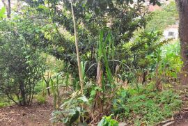 Terreno à venda Recreio Primavera com 380m² - 1 dormitório -  vagas - R$ 400.000 - 1957577239-img-20230205-152108.jpg