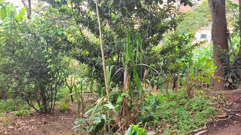 Terreno à venda Recreio Primavera com 380m² e 1 quarto por R$ 400.000 - 1957577239-img-20230205-152108.jpg