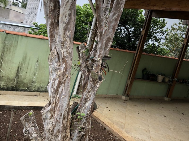 Casa à venda Vila da Saúde com 186m² e 4 quartos por R$ 1.380.000 - 57215465-a70fe9a7-63c6-4c91-a220-f8a6a71bb137.jpeg