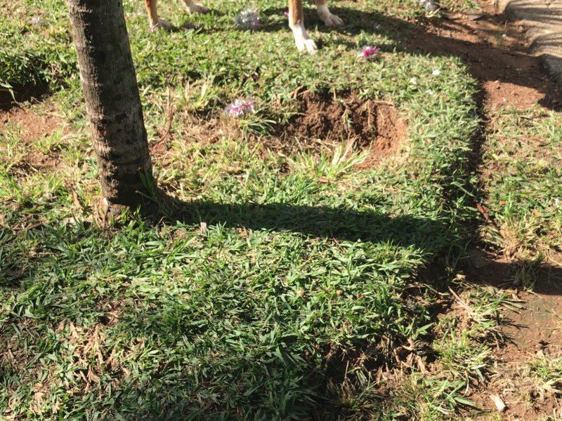 imóvel com 2790m² - Jardim Maracanã - Atibaia