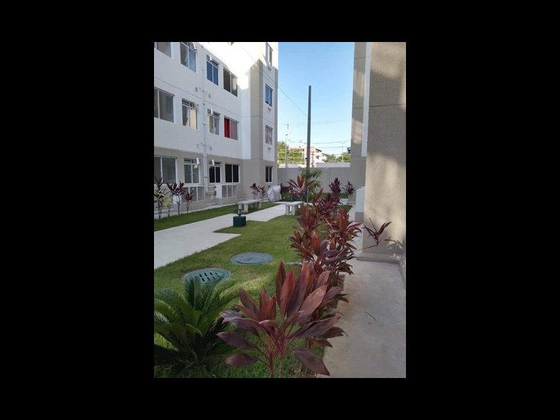 Apartamento para alugar Campo Grande com 40m² e 2 quartos por R$ 800 - 463599212-fotin6.jpg