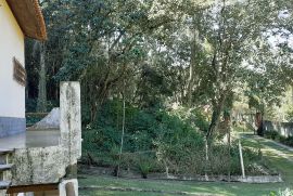 Chácara à venda Caceia  com 8930m² - 3 dormitórios -  vagas - R$ 599.000 - 5.jpg