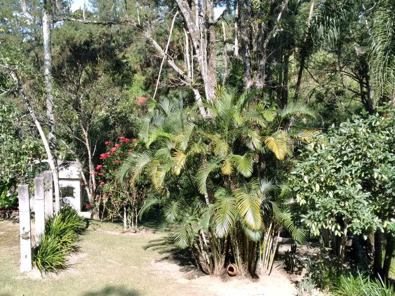 Chácara à venda Caceia  com 8930m² e 3 quartos por R$ 599.000 - 12.jpg