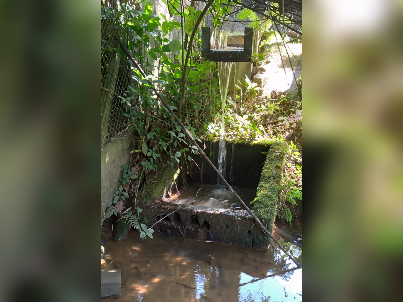 Chácara à venda Caceia  com 8930m² e 3 quartos por R$ 599.000 - 34.jpg