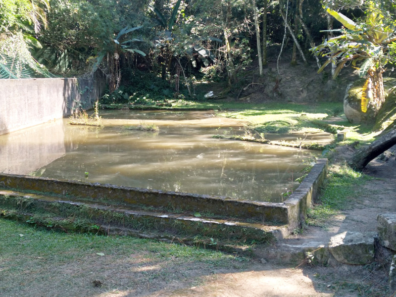 Chácara à venda Caceia  com 8930m² e 3 quartos por R$ 599.000 - 35.jpg