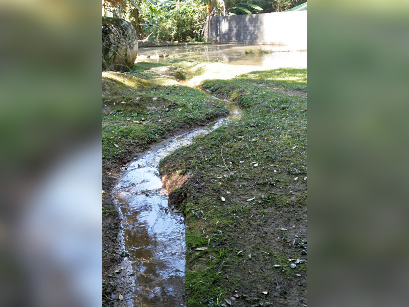 Chácara à venda Caceia  com 8930m² e 3 quartos por R$ 599.000 - 36.jpg