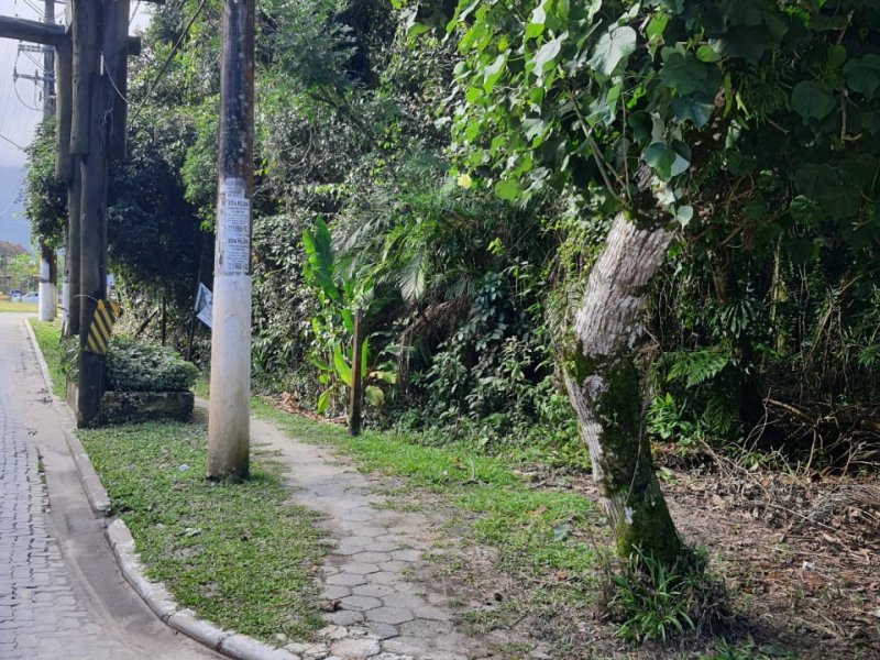 imóvel com 8909m² - Barra do Una - São Sebastião