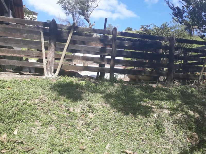 Sítio à venda São José com 250m² e 4 quartos por R$ 3.900.000 - 1818871609-whatsapp-image-2021-05-21-at-11.jpeg