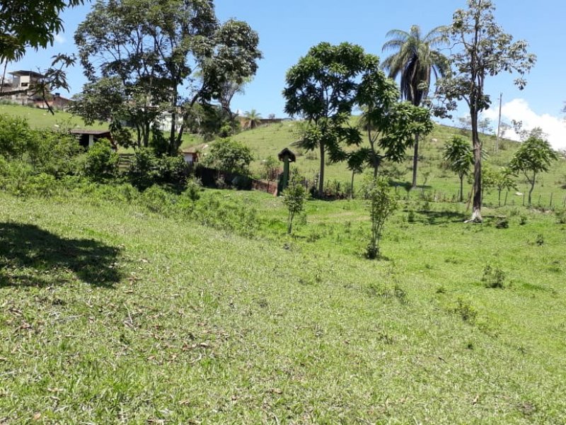 Sítio à venda São José com 250m² e 4 quartos por R$ 3.900.000 - 2061978434-whatsapp-image-2021-05-21-at-11.jpeg