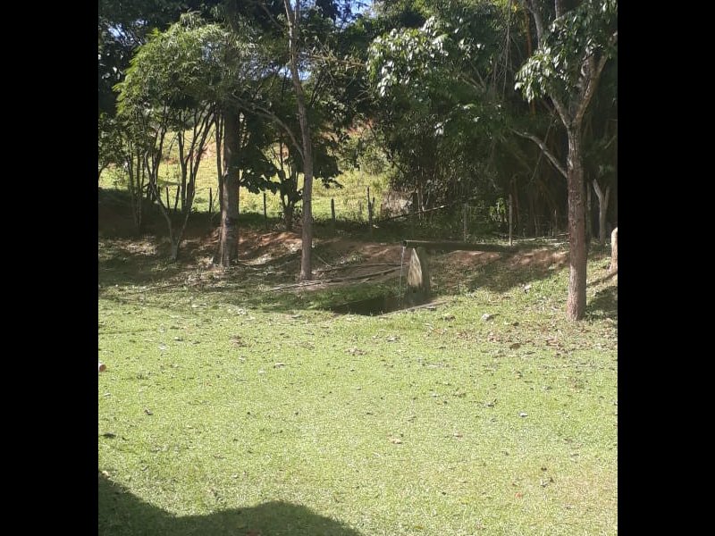 Sítio à venda São José com 250m² e 4 quartos por R$ 3.900.000 - 2077398166-whatsapp-image-2021-05-21-at-11.jpeg
