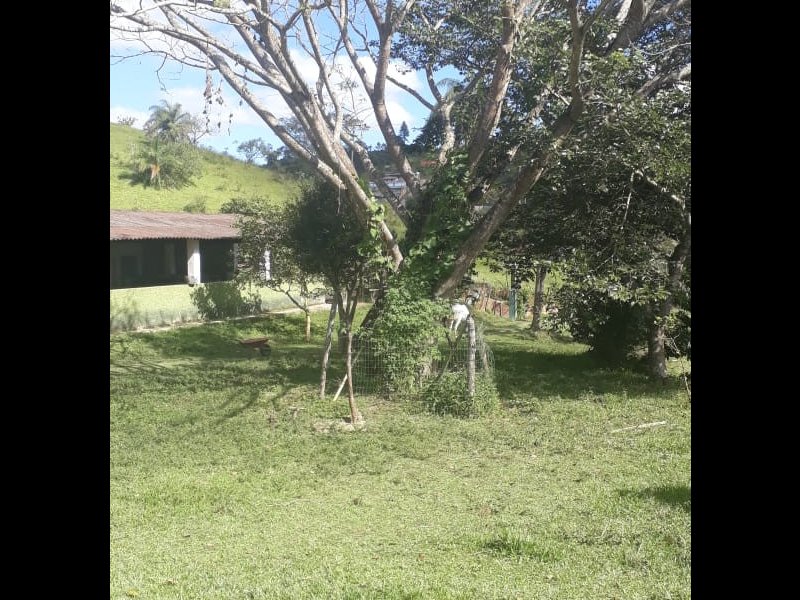 Sítio à venda São José com 250m² e 4 quartos por R$ 3.900.000 - 489272387-whatsapp-image-2021-05-21-at-11.jpeg