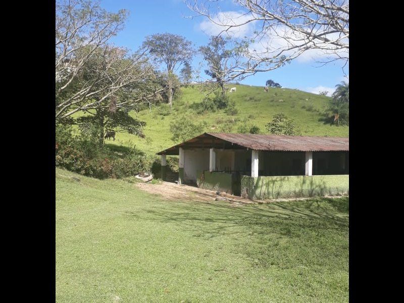 Sítio à venda São José com 250m² e 4 quartos por R$ 3.900.000 - 656156775-whatsapp-image-2021-05-21-at-11.jpeg