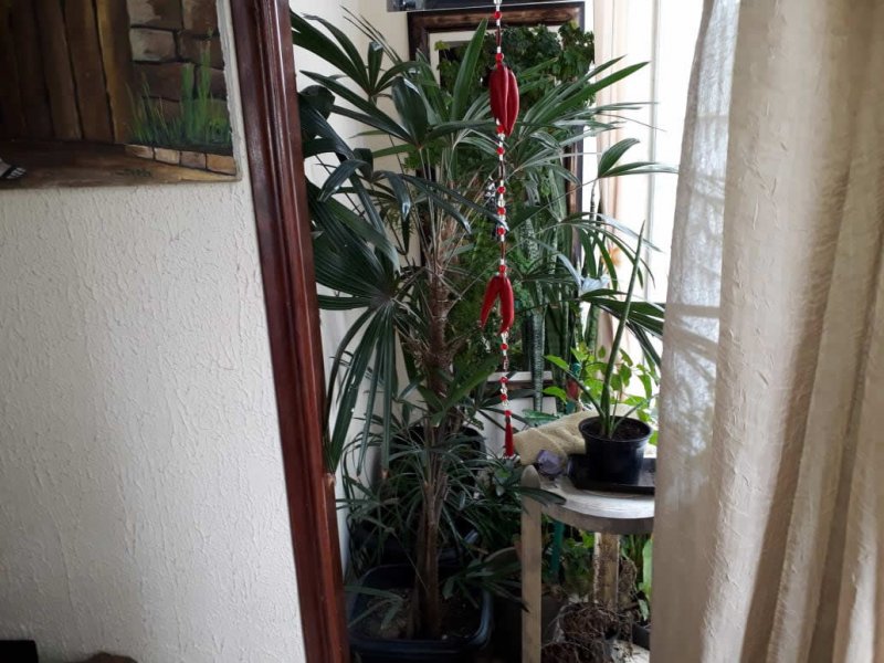 Apartamento à venda Ponta da Praia com 123m² e 3 quartos por R$ 620.000 - 713697666-varanda1.jpeg