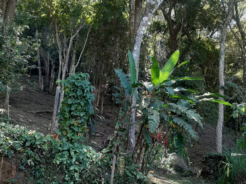 imóvel com 6000m² - Centro - Mairiporã