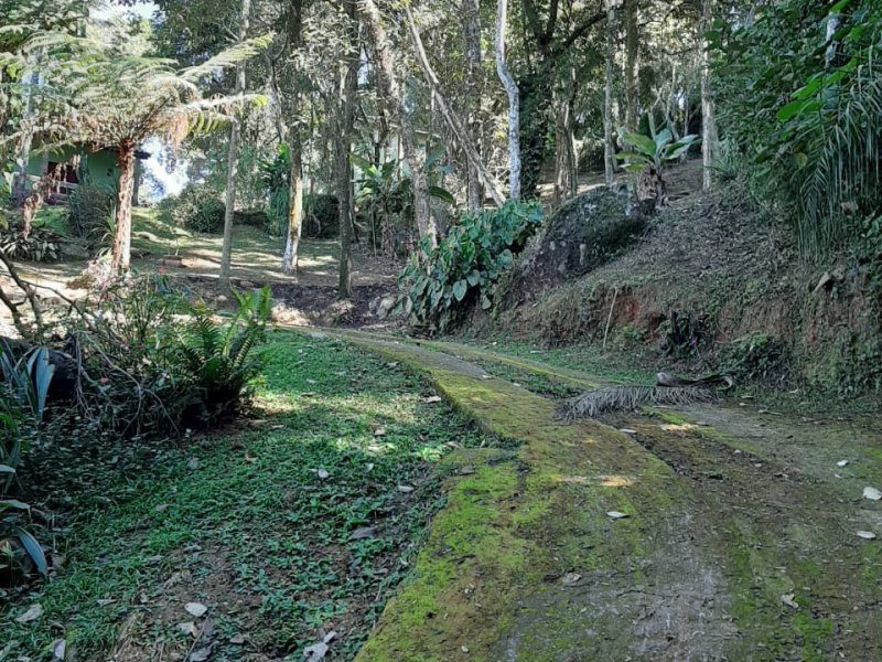 imóvel com 6000m² - Centro - Mairiporã