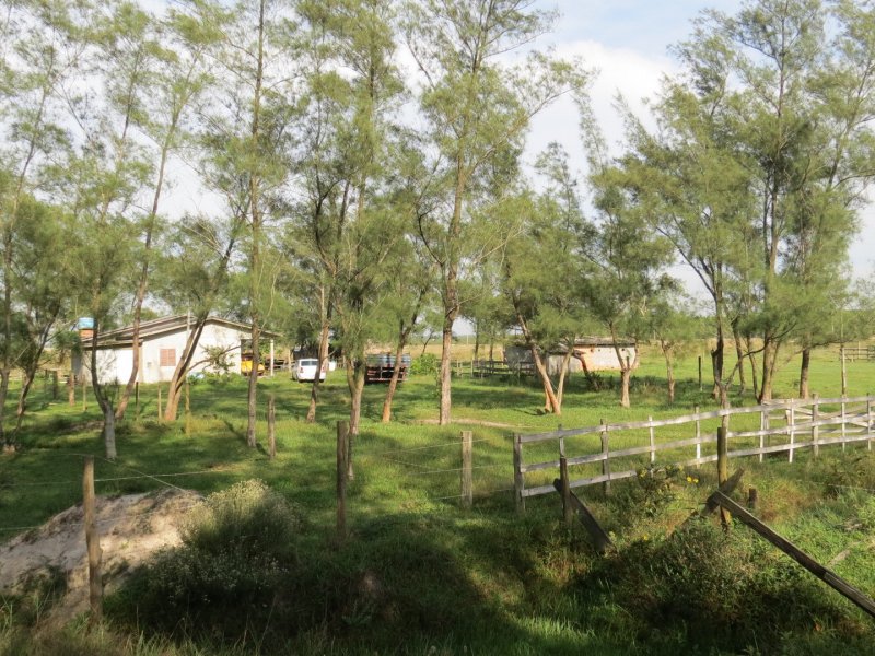 Sítio à venda Centro com 60000m² e 1 quarto por R$ 800.000 - 628103111-img-2654.JPG