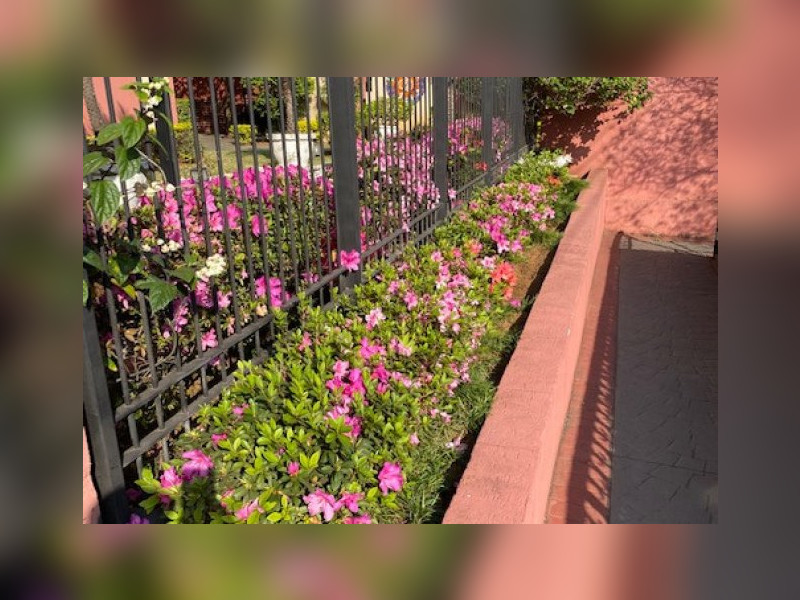 imóvel com 61m² - Ipiranga - São Paulo
