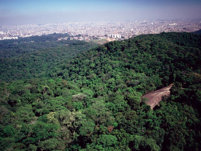 Casa à venda Parque Mandaqui com 385m² e 3 quartos por R$ 1.300.000 - 1329682188-pedra-grande-v.jpg