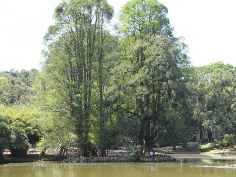 Casa à venda Parque Mandaqui com 385m² e 3 quartos por R$ 1.300.000 - 1462451039-horto-floretal-lago.jpg
