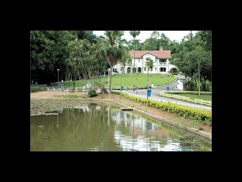 Casa à venda Parque Mandaqui com 385m² e 3 quartos por R$ 1.300.000 - 275272980-horto-florestal-palacio-do-horto-1.jpg