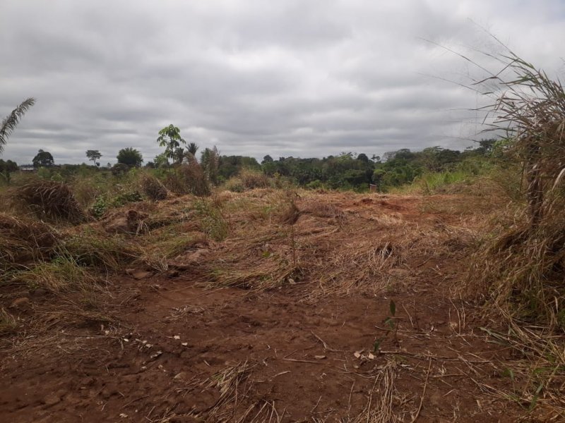 Terreno à venda Jardim Bela Vista  com 1221m² e 1 quarto por R$ 250.000 - 566278256-img-20210507-wa0033.jpg