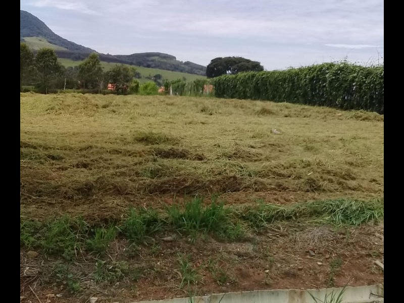 Terreno à venda Centro com 2010m² e 1 quarto por R$ 180.000 - 841473371-lote-3.jpeg