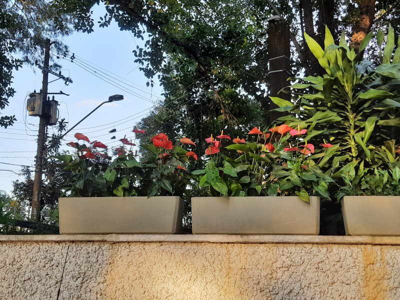 imóvel com 78m² - Vila Campestre - São Paulo