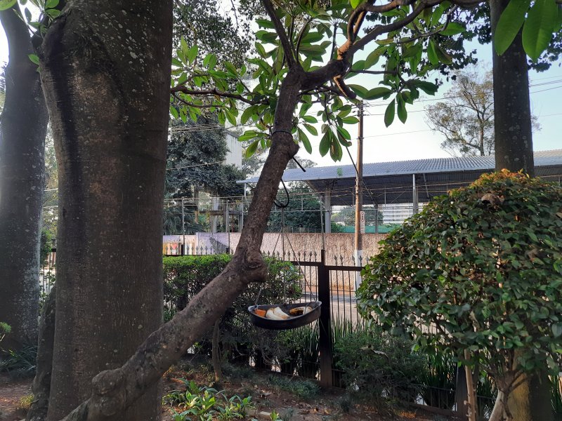 imóvel com 78m² - Vila Campestre - São Paulo