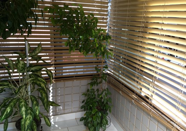 imóvel com 75m²