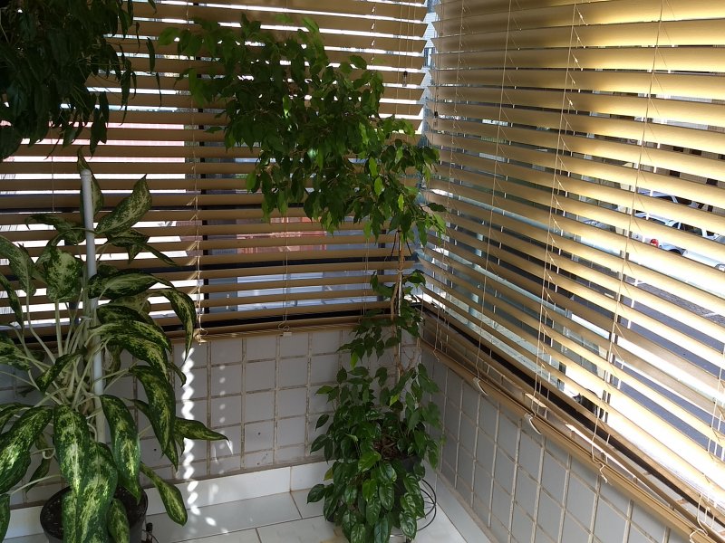 imóvel com 75m² - Asa Norte - Brasília