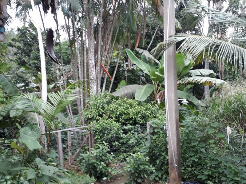 imóvel com 77m² - Irineu Serra - Rio Branco