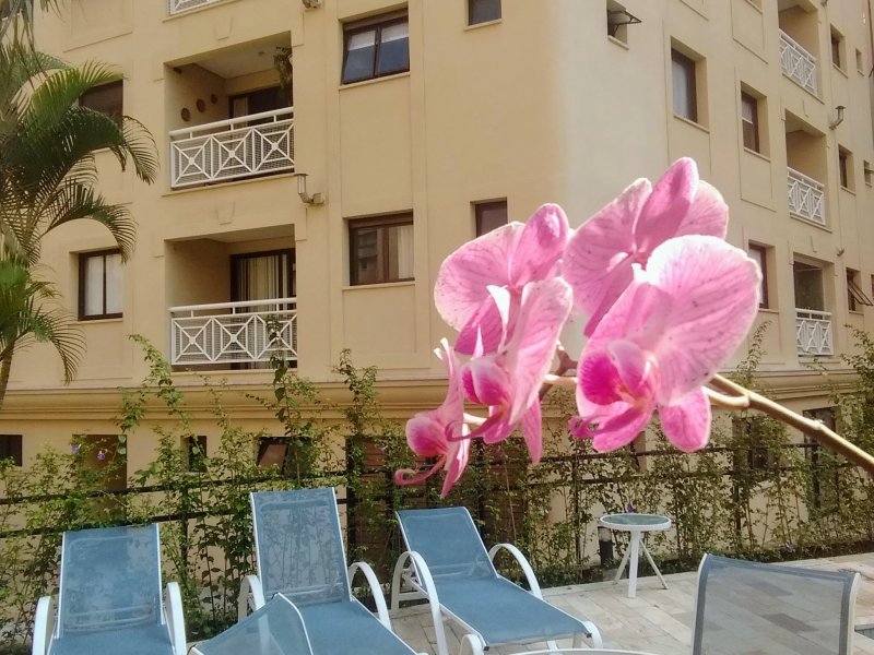 Apartamento à venda Jardim Ampliação com 58m² e 1 quarto por R$ 385.000 - 1749793813-img-20190326-143505032.jpg