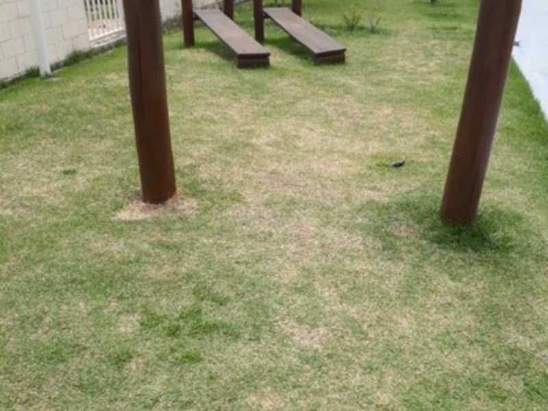 Sítio à venda Bom Jesus de Angicos com 33000m² e 5 quartos por R$ 220.000 - 1151734047-screenshot-20210528-212747-onedrive.jpg