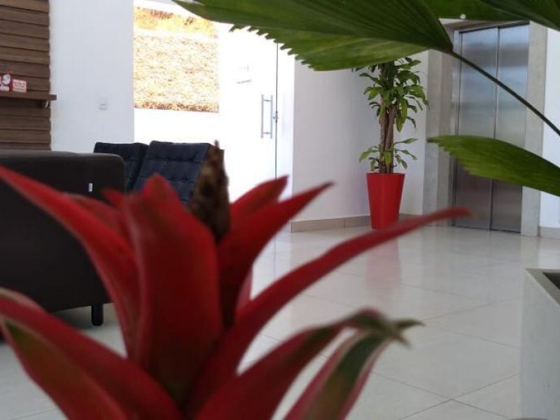 imóvel com 46m² - Centro - Cachoeira Paulista
