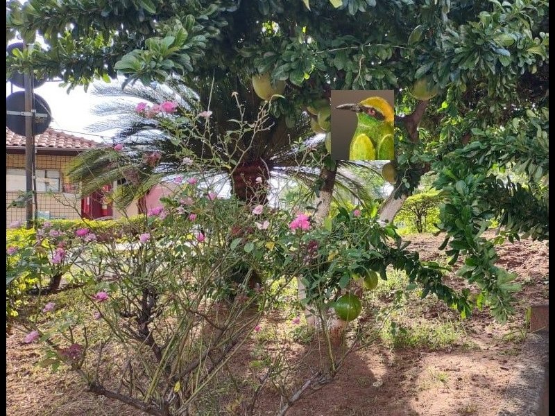 imóvel com 60m² - Parque Viaduto - Bauru