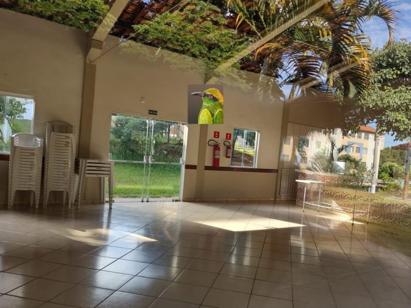 imóvel com 60m² - Parque Viaduto - Bauru