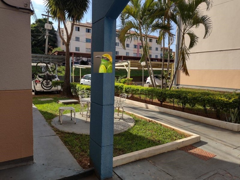 imóvel com 60m² - Parque Viaduto - Bauru